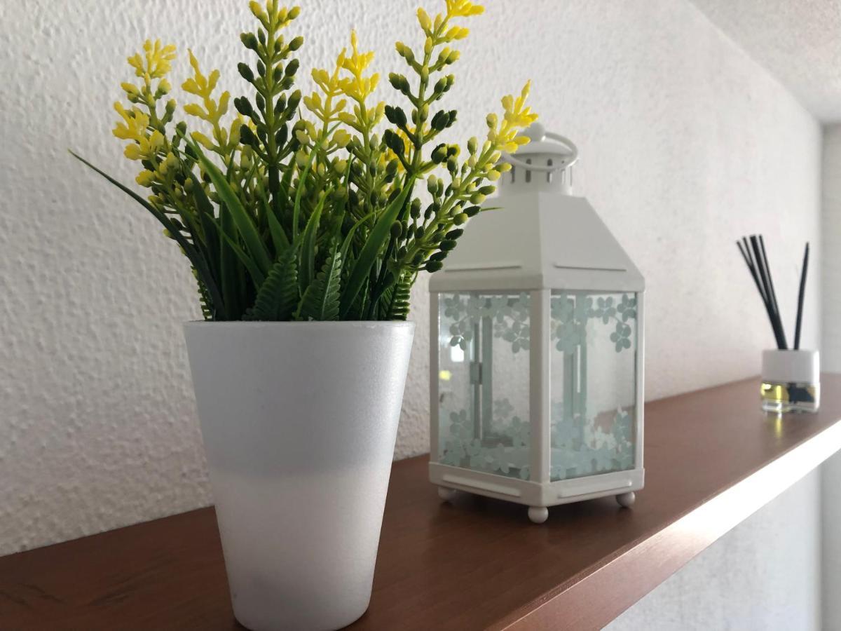 Top View Central Spacious Apartment San Bartolomé 外观 照片